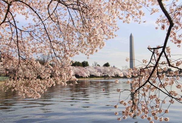 Washington, D.C., monument