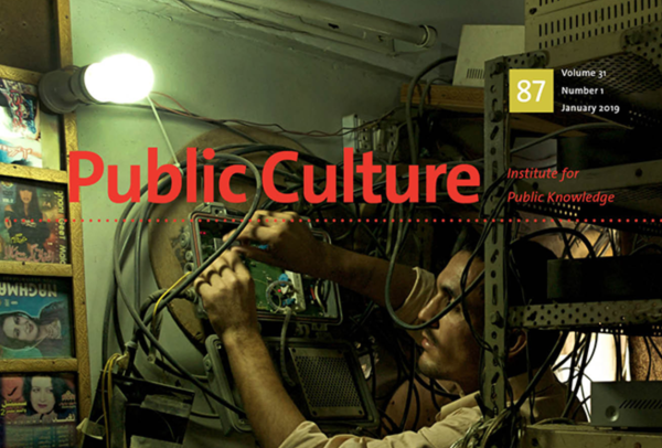 Public Culture Recent Issue 