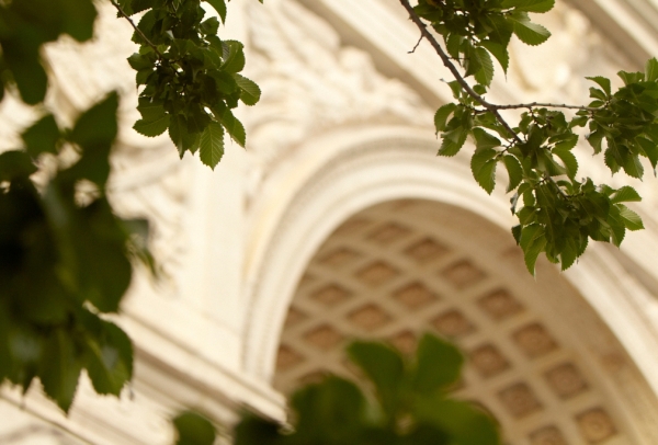 Close up of Washington Square Park Arch with leaves in foreground 