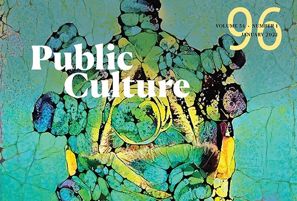 Public Culture Journal NYU Steinhardt