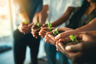 Group of people lined up each holding a small pile of dirt with a growing plant in their palms.