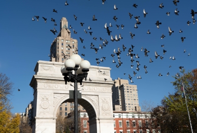Washington Square Park Arch, blue sky and birds flyer past