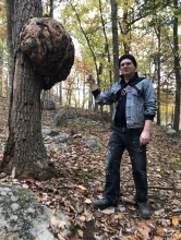 Disheveled man in a jean jacket points at a tree burl