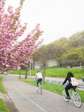 students bicycling