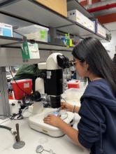 Isabel Mateos - YAC Council (Inaugural Cohort)