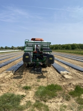 Lily Osman driving a tractor