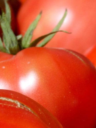 Ripe tomatoes of varying colors