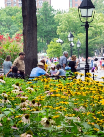 A summer scene of Washington Square Park with yellow daisies in the foreground