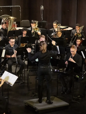 Conductor leading symphony in performance