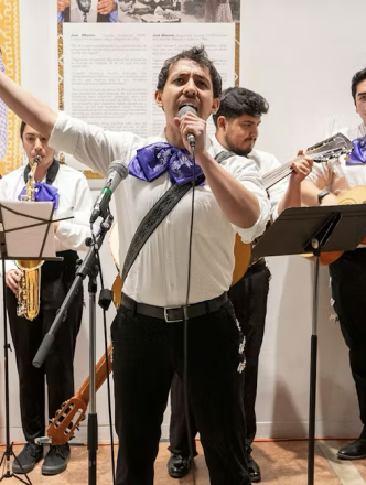 Mariachi musicians performing in traditional white button up shirts and purple neck scarf