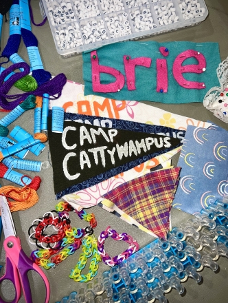 Summer camp supplies including banner for Camp Cattywampus