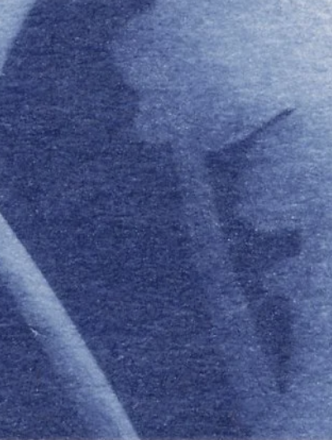 A blue and white detail shot of a cyanotype.