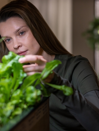 Hydroponic Farm 